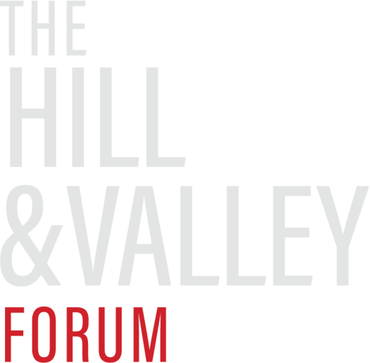 Logo The Hill & Valley Forum